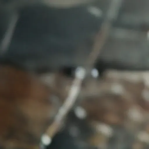 générateur de photos porno IA