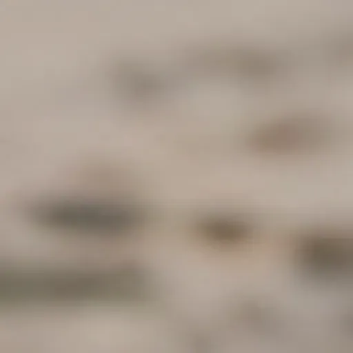 генератор порно-картинок на ИИ