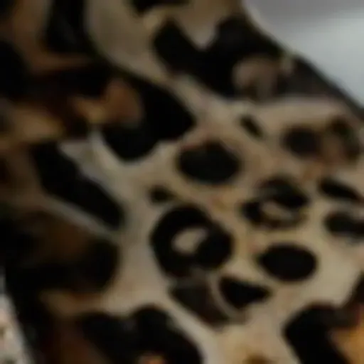 générateur de photos porno IA