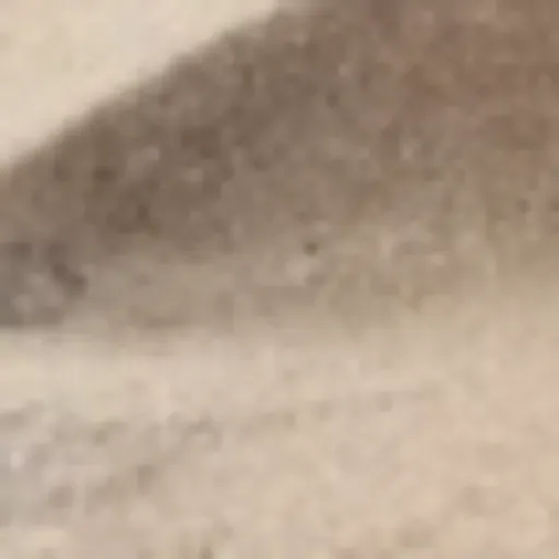 AI色情照片生成器