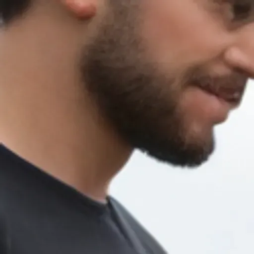 โปรแกรมสร้างภาพโปรนที่ใช้ปัญหา AI