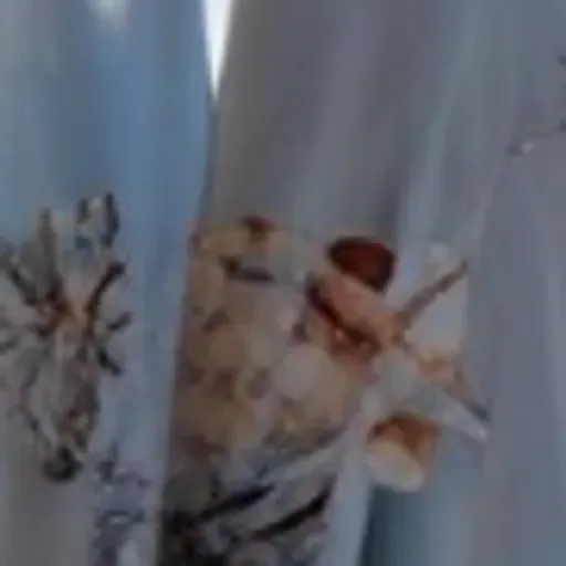 AI色情照片產生器