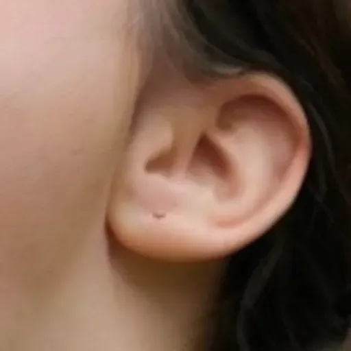 generatore di foto porno IA