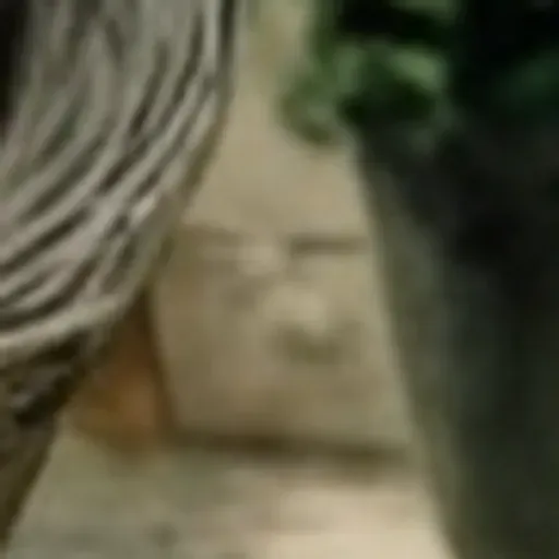 KI-Pornobildchen-Generator