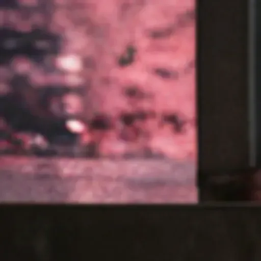 AI 포르노 사진 생성기