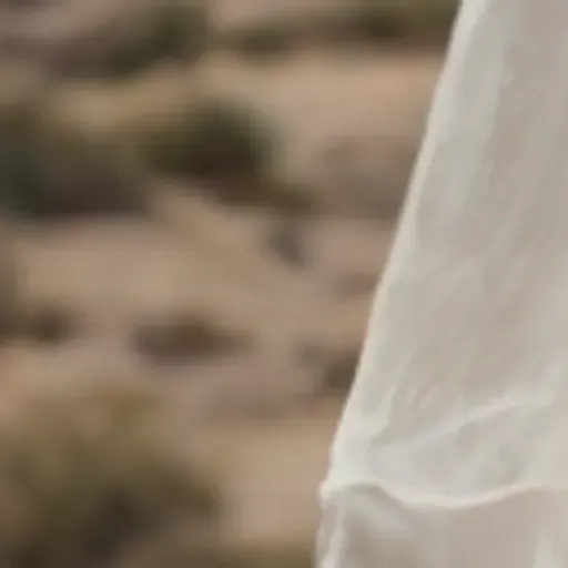 AIポルノ写真ジェネレーター