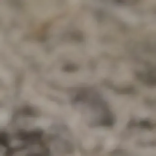 générateur de photos porno IA