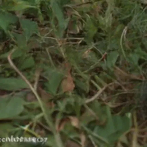 KI-Pornobildchen-Generator