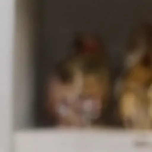 gerador de fotos pornô com IA