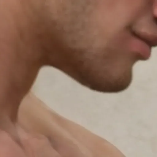 Penghasil gambar lucah AI