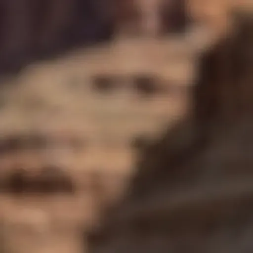 generador de fotos porno con IA