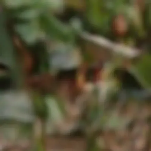 AI色情照片產生器