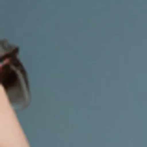 générateur de photos porno IA