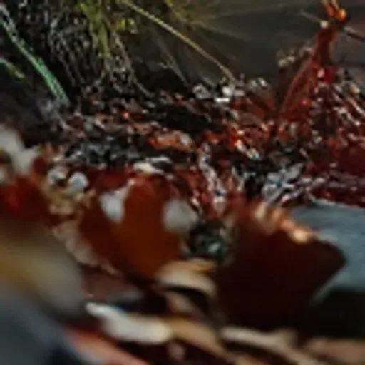 generador de fotos porno con IA