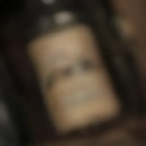 generatore di foto porno IA