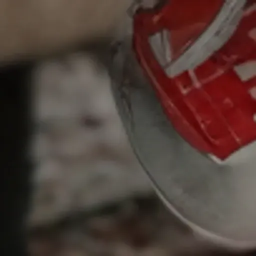 AI 포르노 사진 생성기