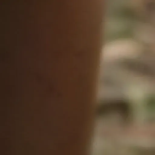 gerador de fotos pornô com IA