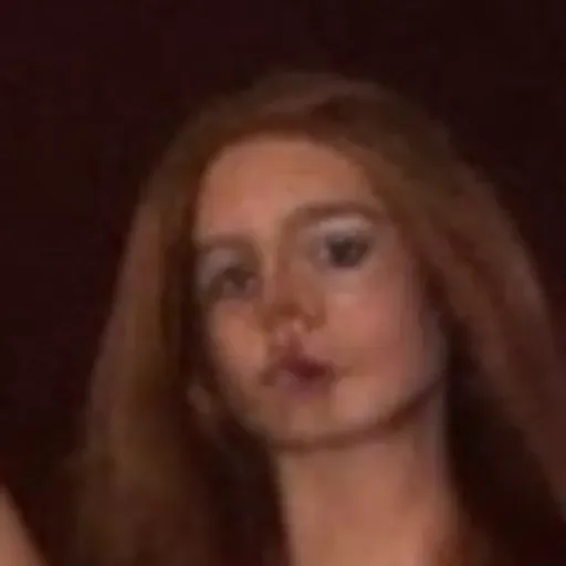 Penghasil gambar lucah AI