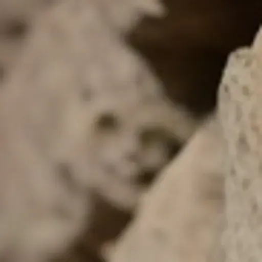 AI色情照片產生器