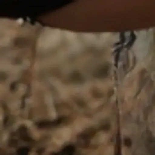 AIポルノ写真ジェネレーター