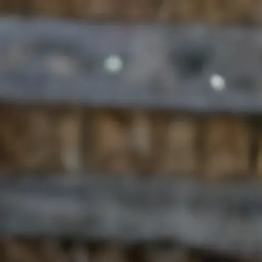 AI色情照片生成器