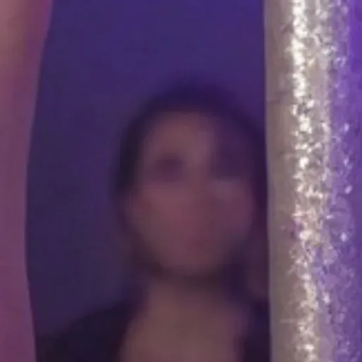 Penghasil gambar lucah AI