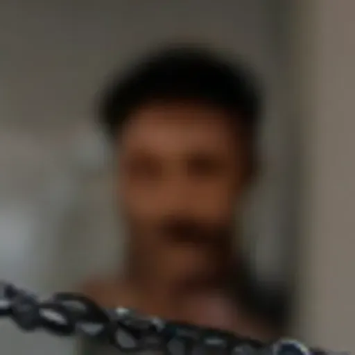 AIポルノ写真ジェネレーター