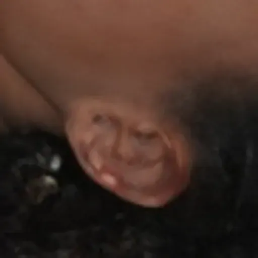 gerador de fotos pornô com IA