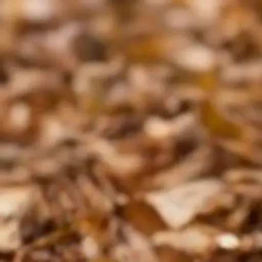 AI色情照片生成器