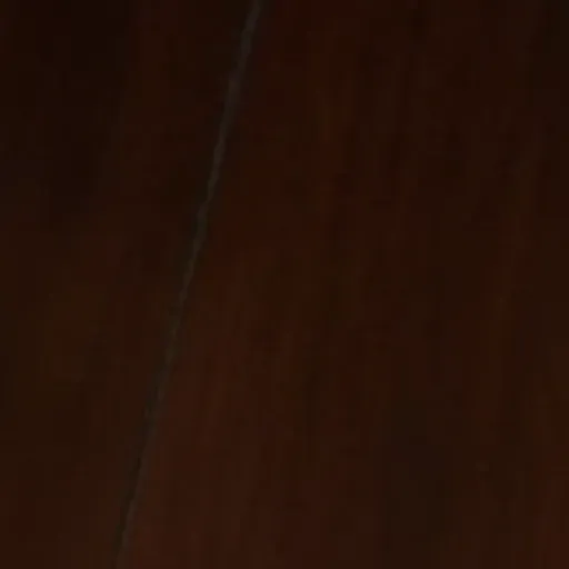 AI色情照片生成器