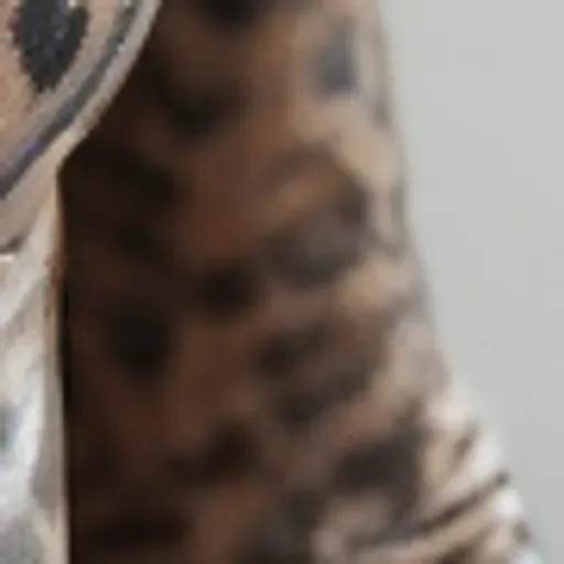 AI 포르노 사진 생성기