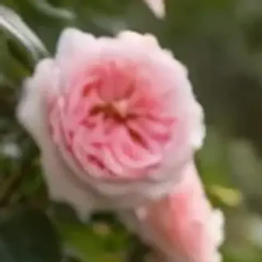 AI porn pic generator