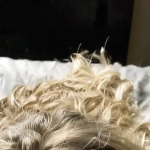 ตัวสร้างรูปโปรโมชั่น AI