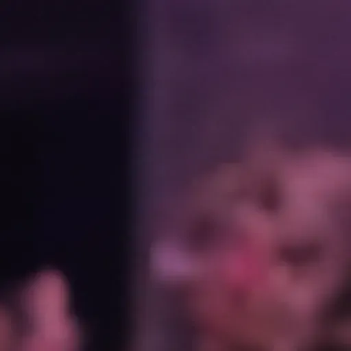 générateur de photos porno IA