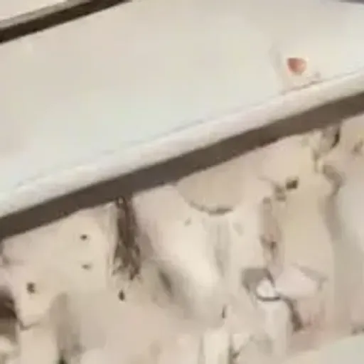 AI色情照片生成器