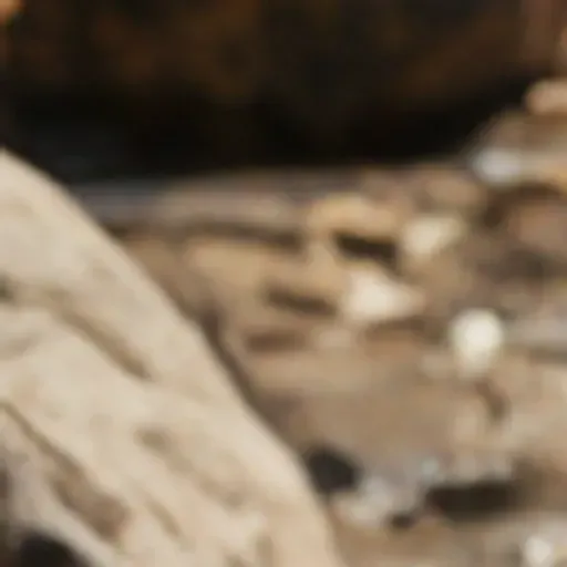 AI 포르노 사진 생성기