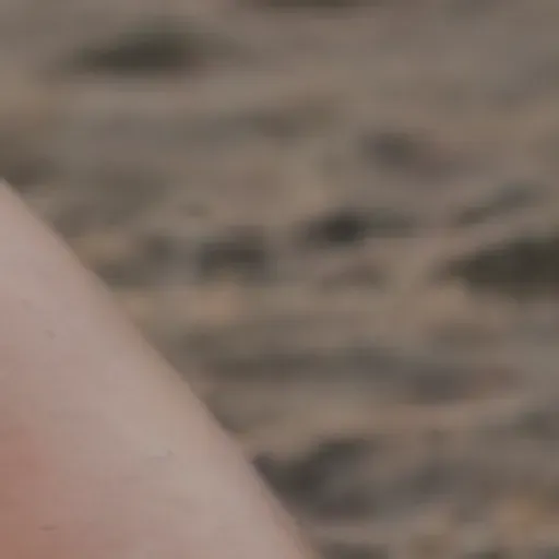 AI色情照片產生器