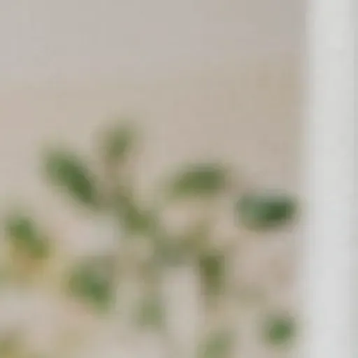 AI色情照片生成器