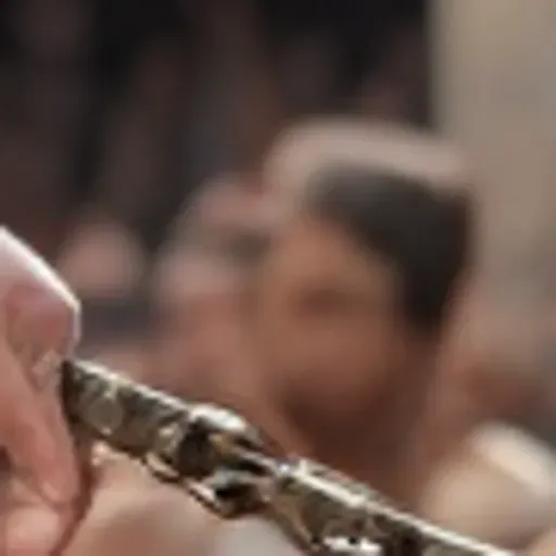 générateur de photos porno IA