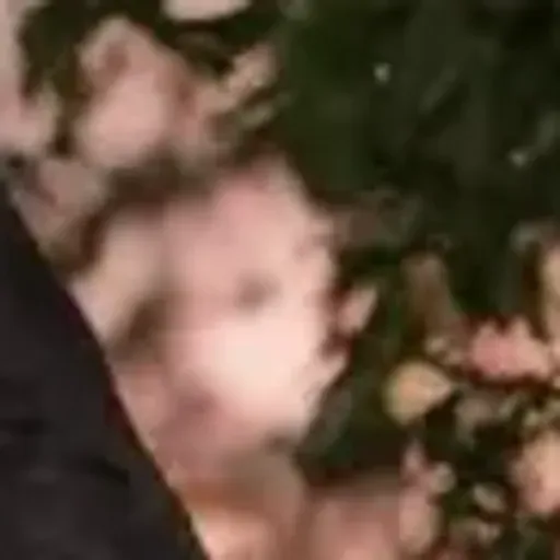 ตัวสร้างรูปโปรโมชั่น AI