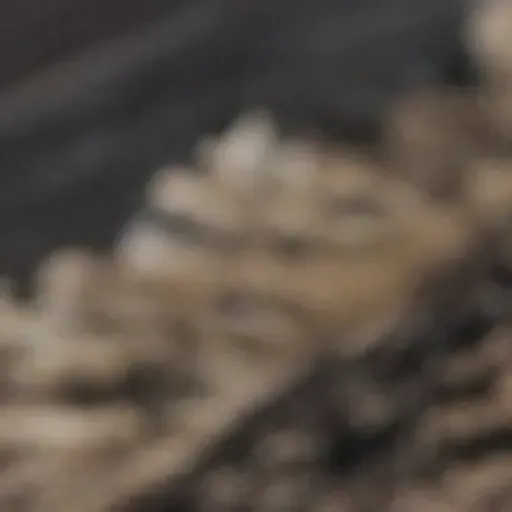 AI色情照片產生器