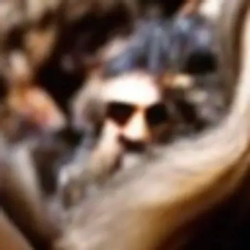 एआई पोर्न इमेज जेनरेटर