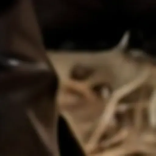 एआई पोर्न पिक जेनरेटर