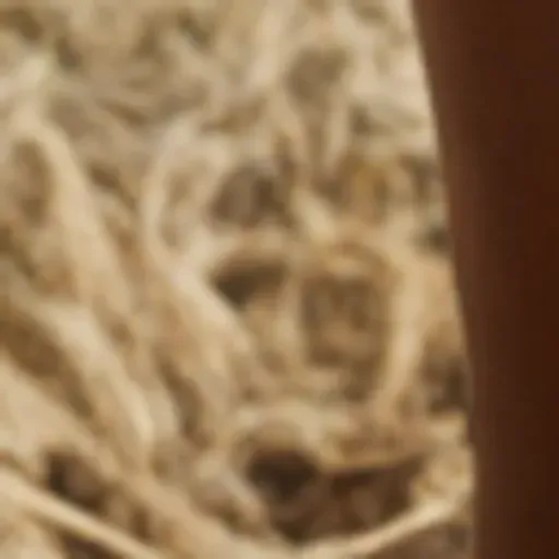 AI色情照片產生器