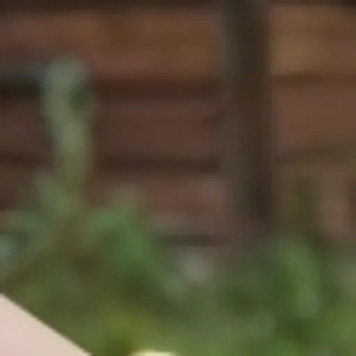 генератор порно-картинок на ИИ