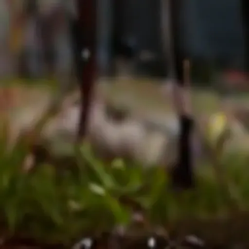 gerador de fotos pornô com IA