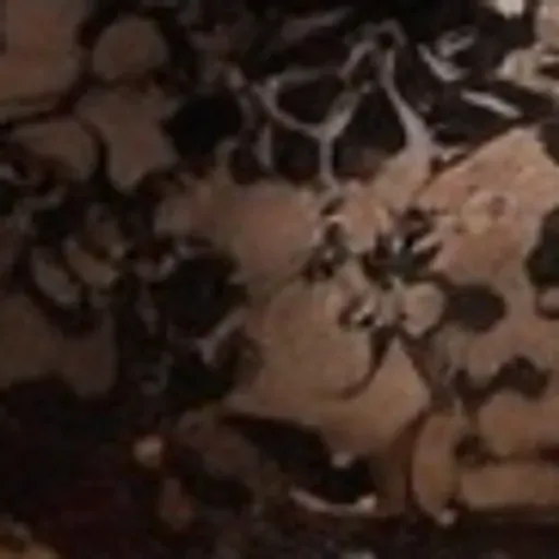 KI-Pornobildchen-Generator