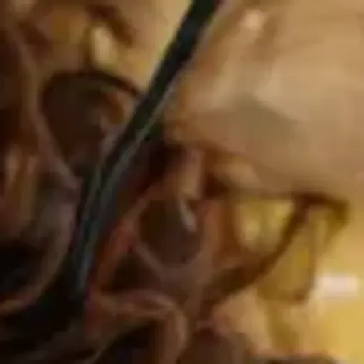 ตัวสร้างรูปโปรโมชั่น AI