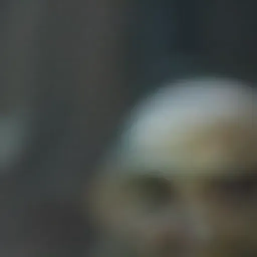 KI-Pornobildchen-Generator