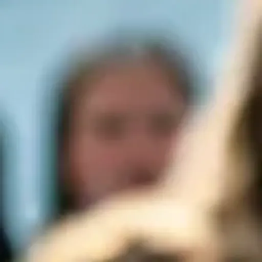 एआई पोर्न इमेज जेनरेटर